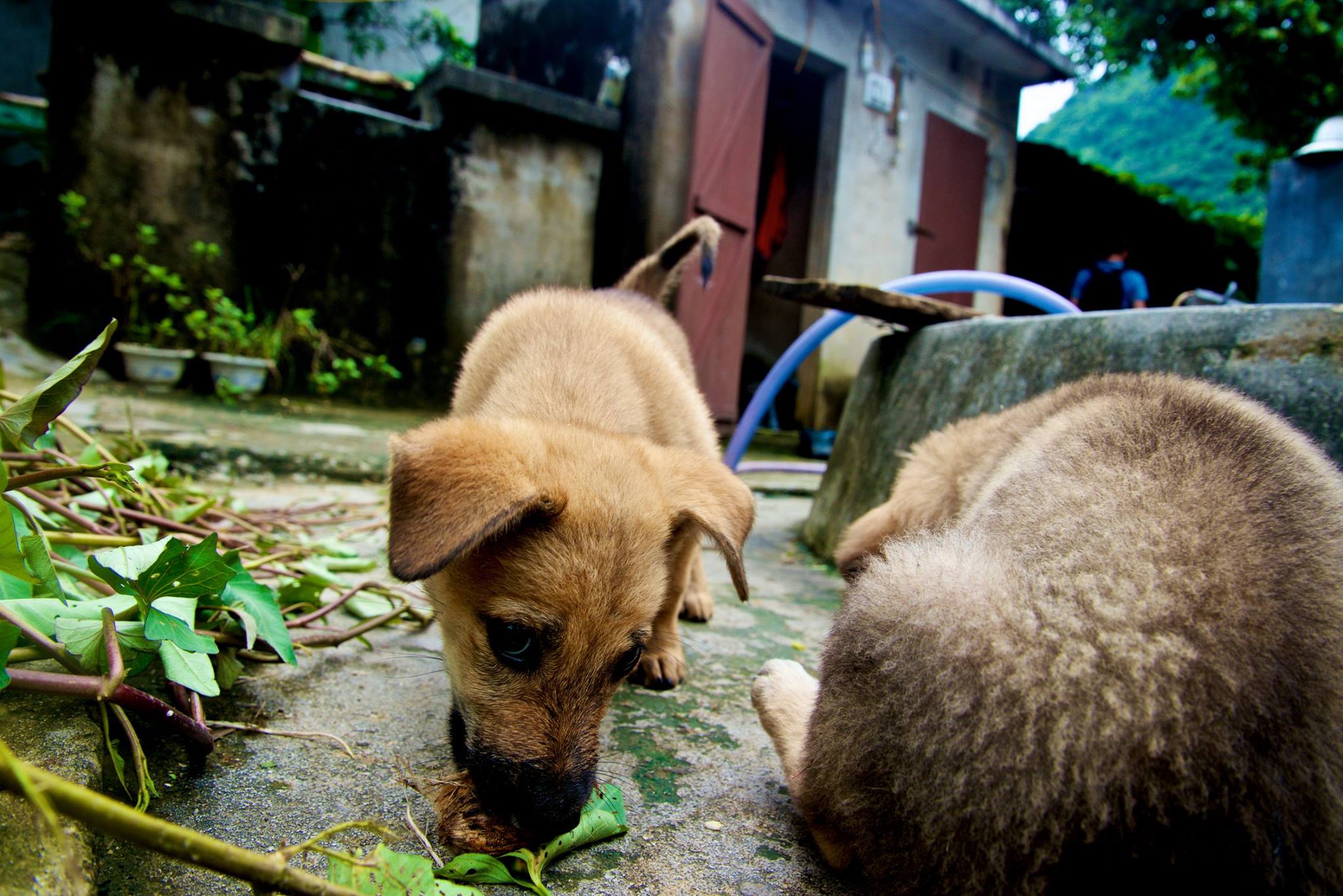 Hoi An, Vietnam