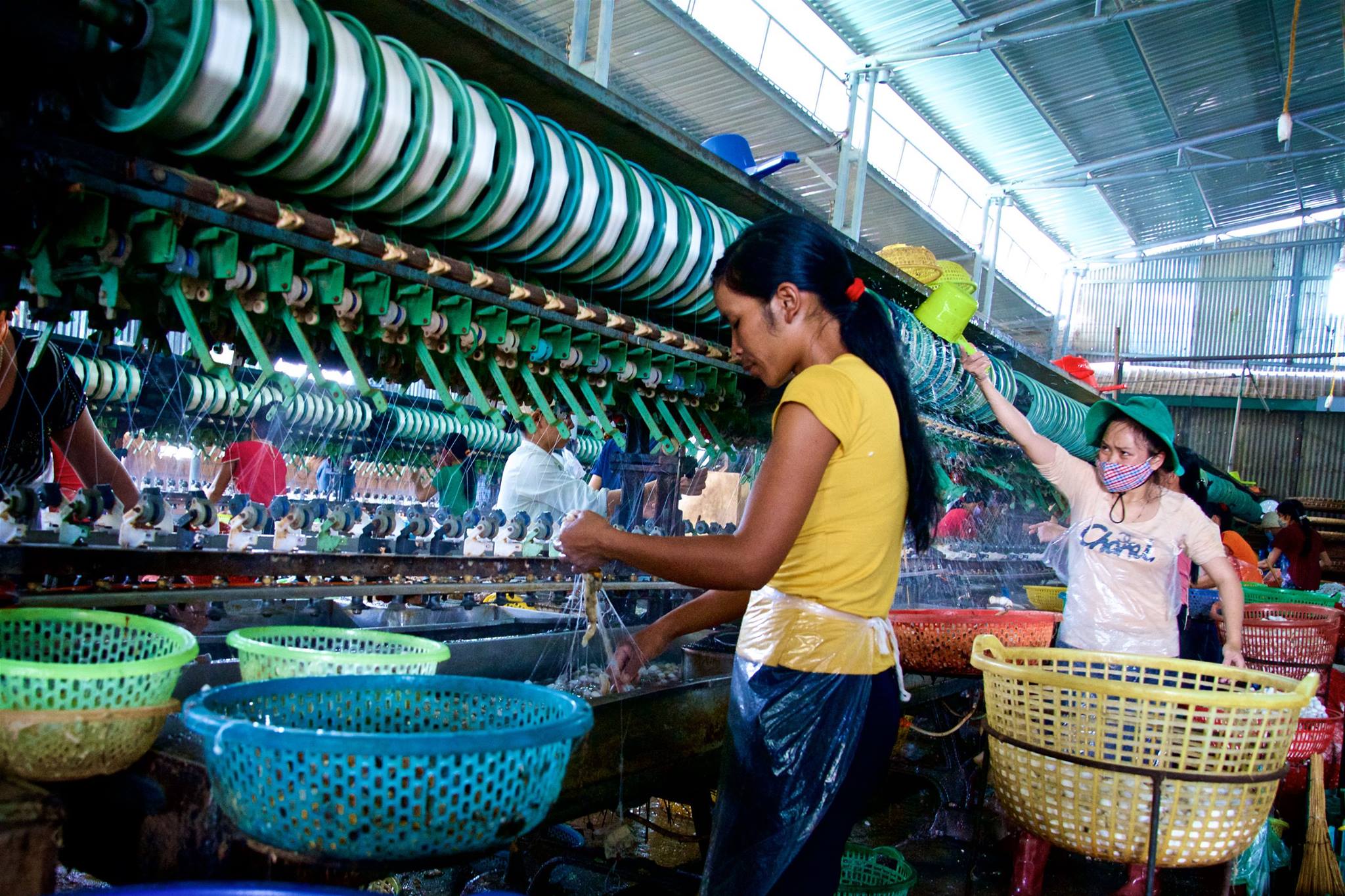 Silk Worm Factory, Dalat, Vietnam