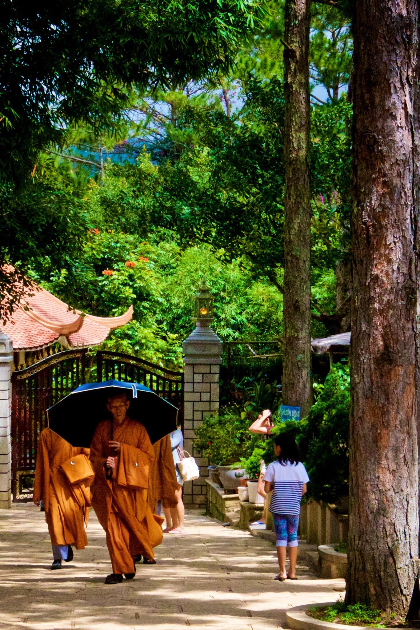 Walking Monk by Truc Lam Zen Monastery, Dalat, Vietnam