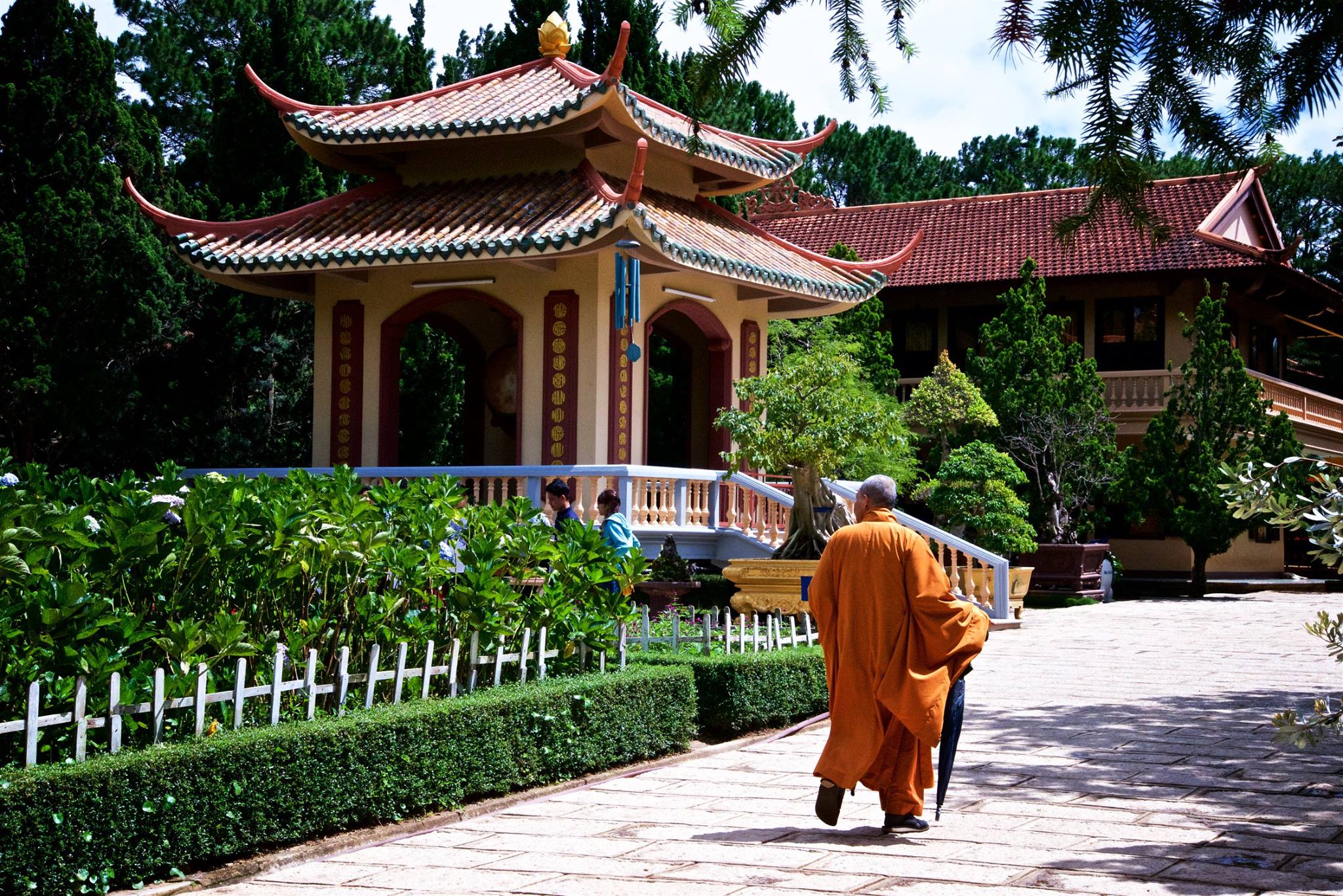 Walking Monk by Truc Lam Zen Monastery, Dalat, Vietnam