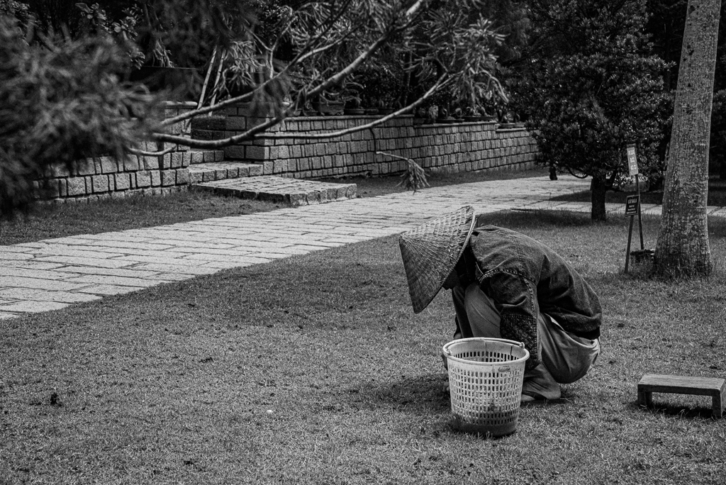 Truc Lam Zen Monastery, Dalat, Vietnam