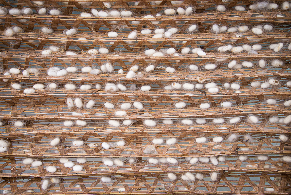 Silk Worm Factory, Dalat, Vietnam